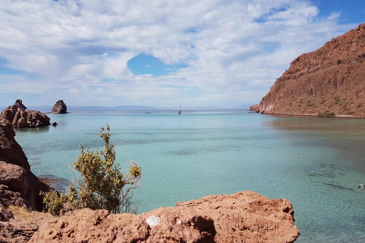 tour isla espiritu santo